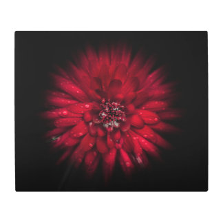 Backyard Flowers No 45 Color Flow Version Metal Print