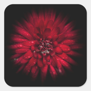 Backyard Flowers No 45 Color Flow Version Square Sticker