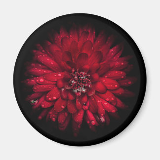 Backyard Flowers No 45 Color Version Magnet