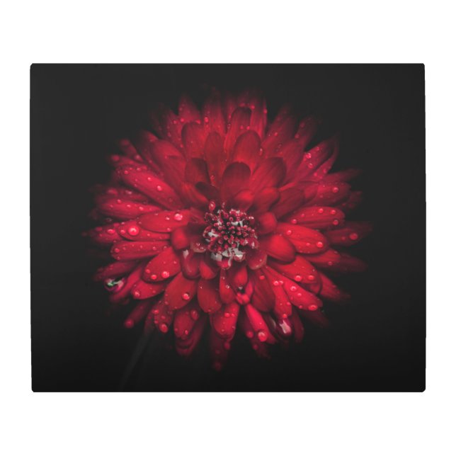 Backyard Flowers No 45 Color Version Metal Print (Front)