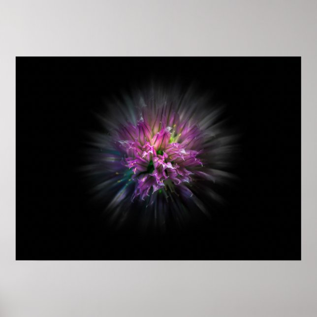 Backyard Flowers No 53 Color Flow Version Poster (Front)