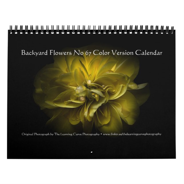Backyard Flowers No 67 Color Version Calendar (Cover)