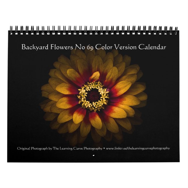 Backyard Flowers No 69 Color Version Calendar (Cover)