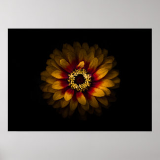 Backyard Flowers No 69 Color Version Poster