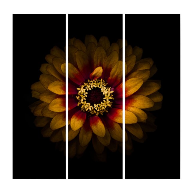 Backyard Flowers No 69 Color Version Triptych (Front)