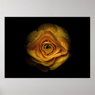 Backyard Flowers No 74 Color Version Poster