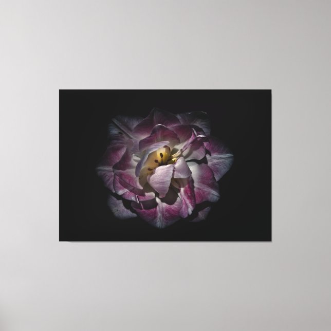 Backyard Flowers No 81 Color Version Canvas Print (Front)