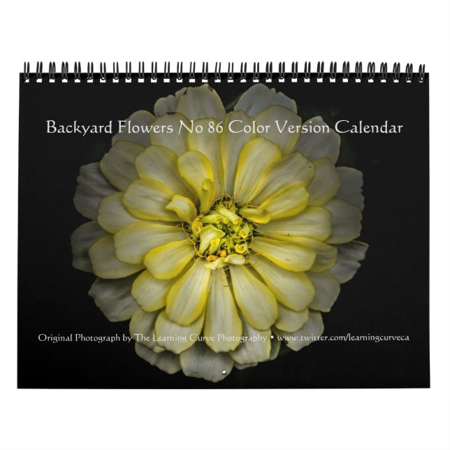 Backyard Flowers No 86 Color Version Calendar (Cover)