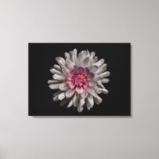 Backyard Flowers No 91 Color Version Canvas Print