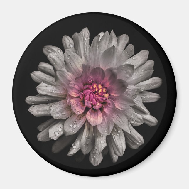 Backyard Flowers No 91 Color Version Magnet (Front)