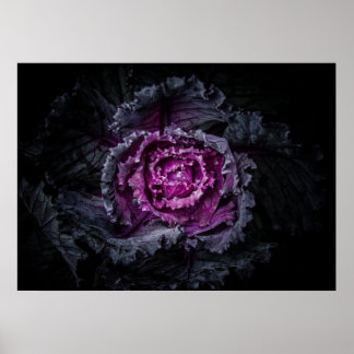 Backyard Flowers No 92 Color Version Poster
