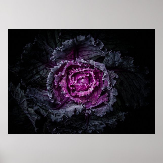 Backyard Flowers No 92 Color Version Poster (Front)