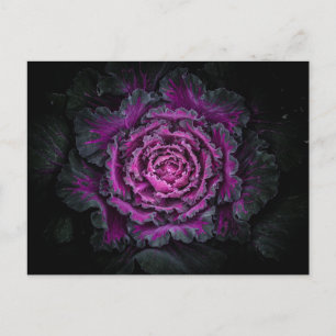 Backyard Flowers No 99 Color Version Postcard