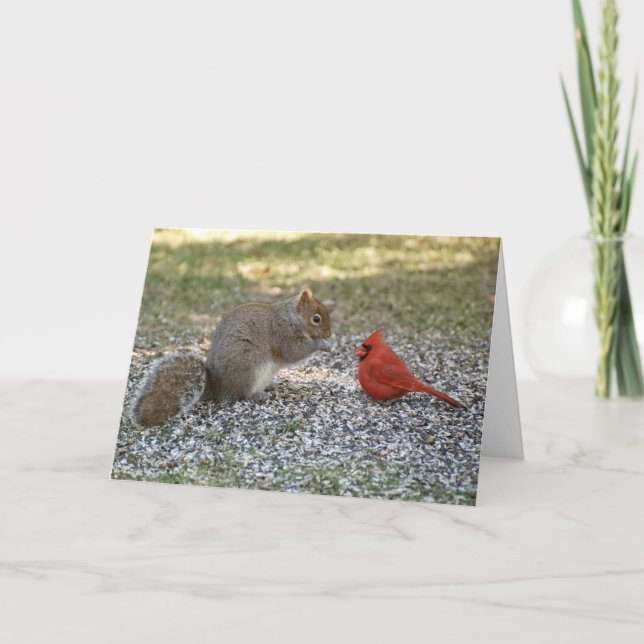 Backyard Gossip Card (Front)