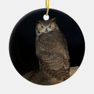 Backyard Great Horned Owl  Ceramic Ornament