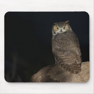 Backyard Great Horned Owl Mouse Pad