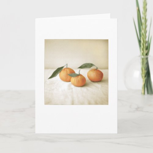 Backyard Satsuma Orange Photo Painting Blank Card