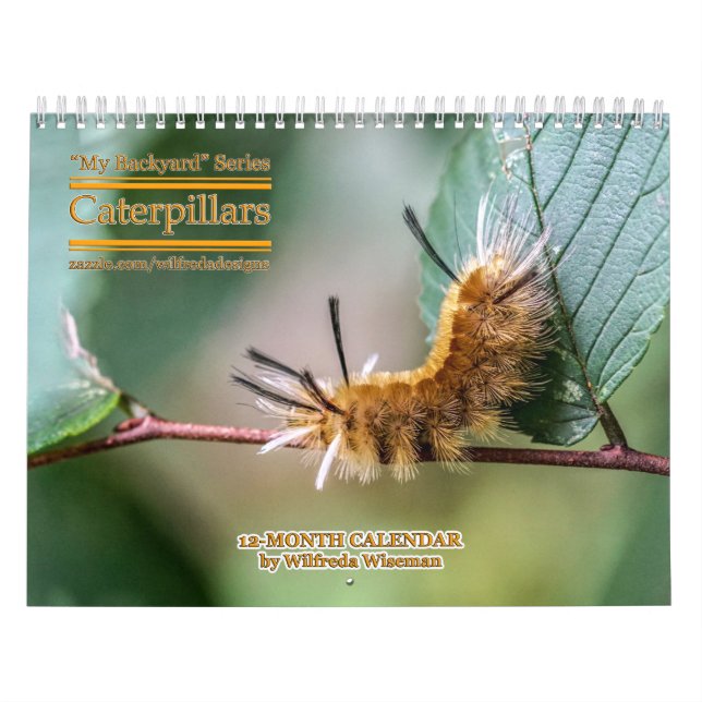 Backyard Series Caterpillars Calendar (Cover)