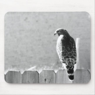 Backyard visitor mouse pad