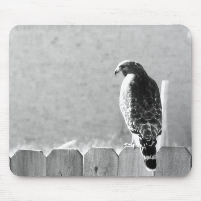 Backyard visitor mouse pad (Front)