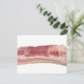 bacon (Standing Front)