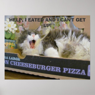 Bacon Cheeseburger Pizza Overdose Kitty Poster