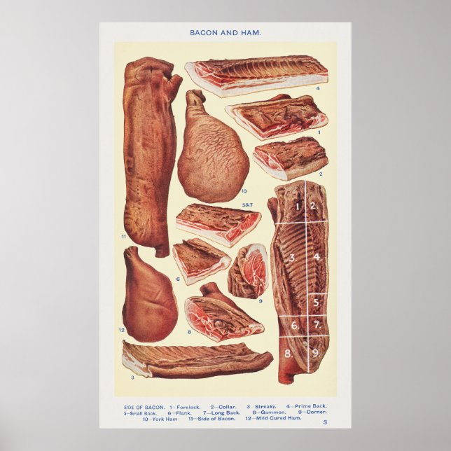 Bacon & Ham Poster (Front)