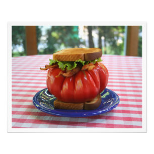 Bacon, Lettuce and Giant Tomato Sandwich Photo Print