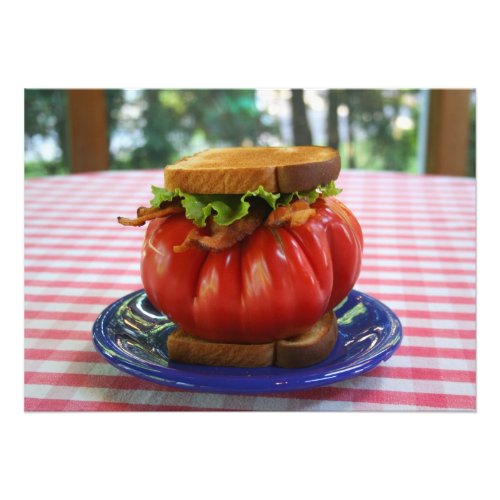 Bacon Lettuce and Giant Tomato Sandwich Photo Print