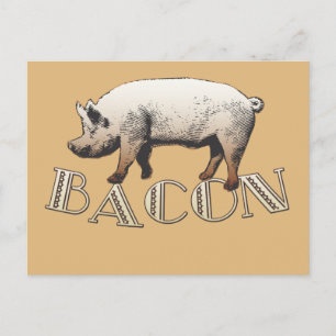 Bacon LOVE Postcard