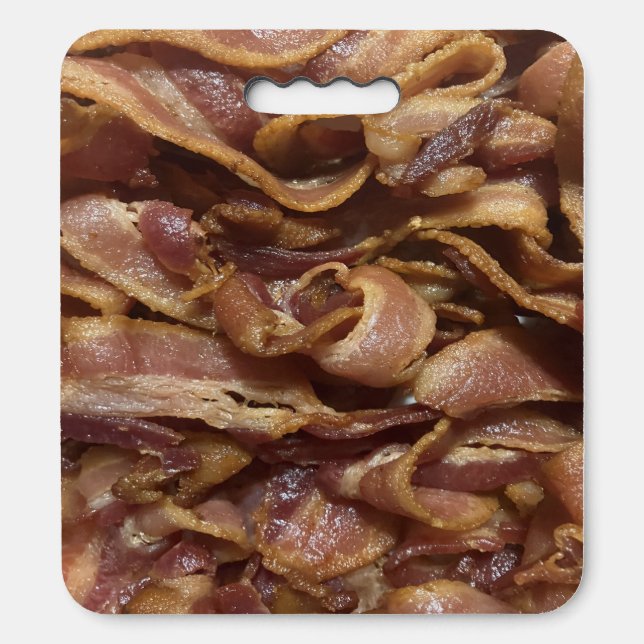 Bacon Seat Cushion (Front Vertical)
