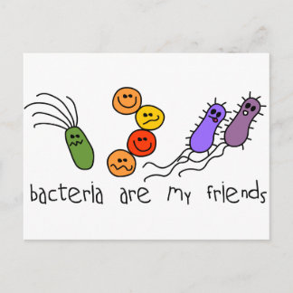 Bacteria are my friends postcard