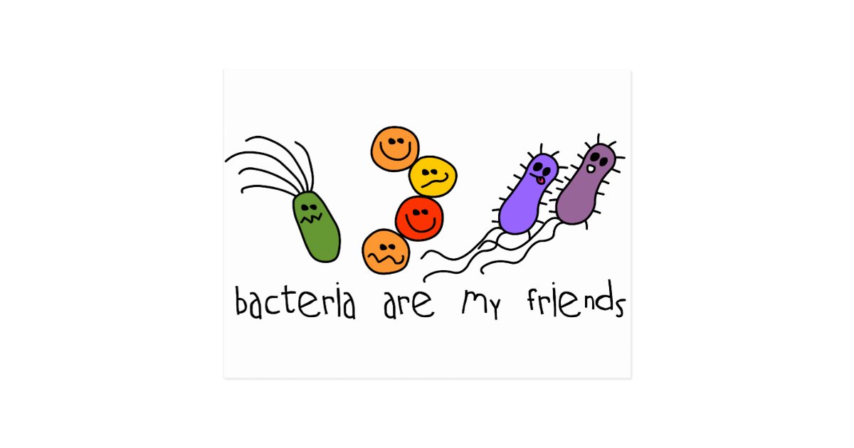 Bacteria are my friends postcard | Zazzle.com