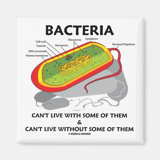 Bacteria Can't Live With Some Of Them Can't Live Magnet (Front)
