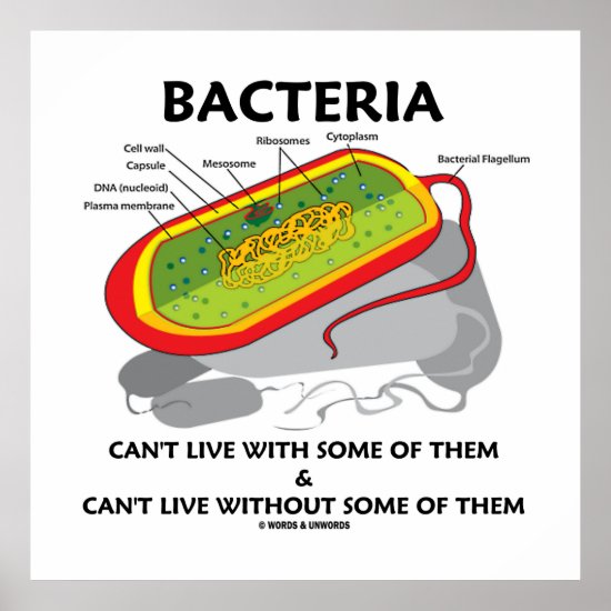 Bacteria Can't Live With Some Of Them Can't Live Poster