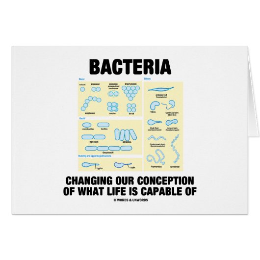 Bacteria Changing Our Conception What Life Is Cards (Front Horizontal)