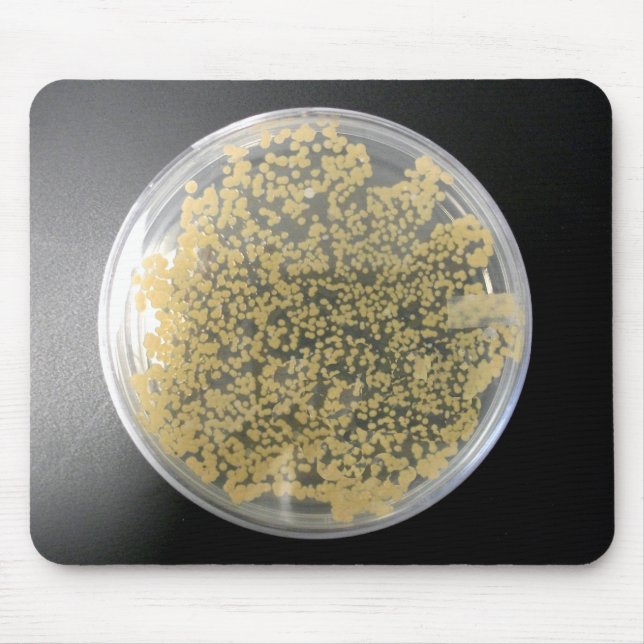 Bacteria Culture Plate Mousepad (Front)