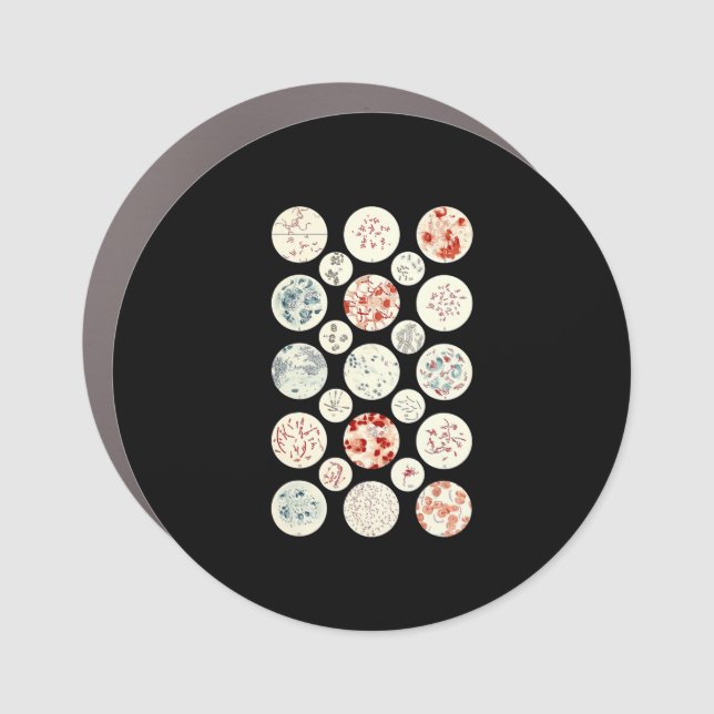 bacteria funny microbiology bacteria science tiny car magnet (Front)