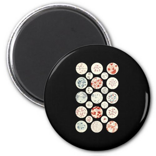 bacteria funny microbiology bacteria science tiny magnet