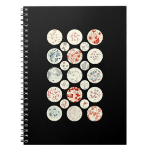 bacteria funny microbiology bacteria science tiny notebook