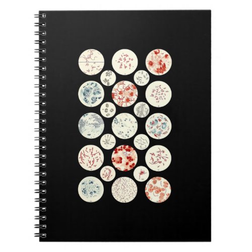 bacteria funny microbiology bacteria science tiny notebook