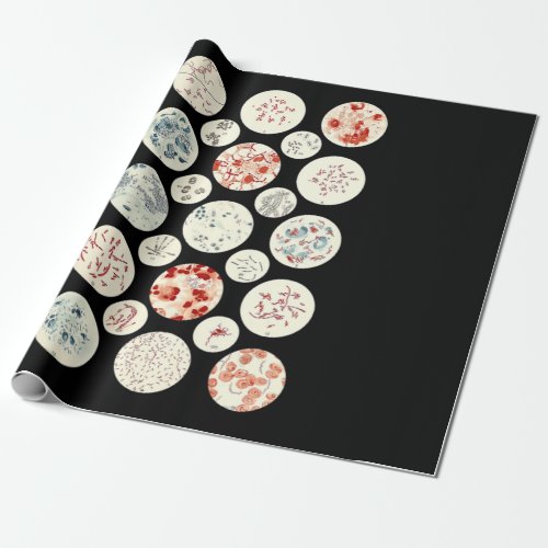 bacteria funny microbiology bacteria science tiny wrapping paper