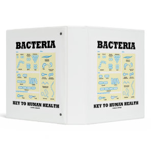 Bacteria Key To Human Health Morphology 3 Ring Binder