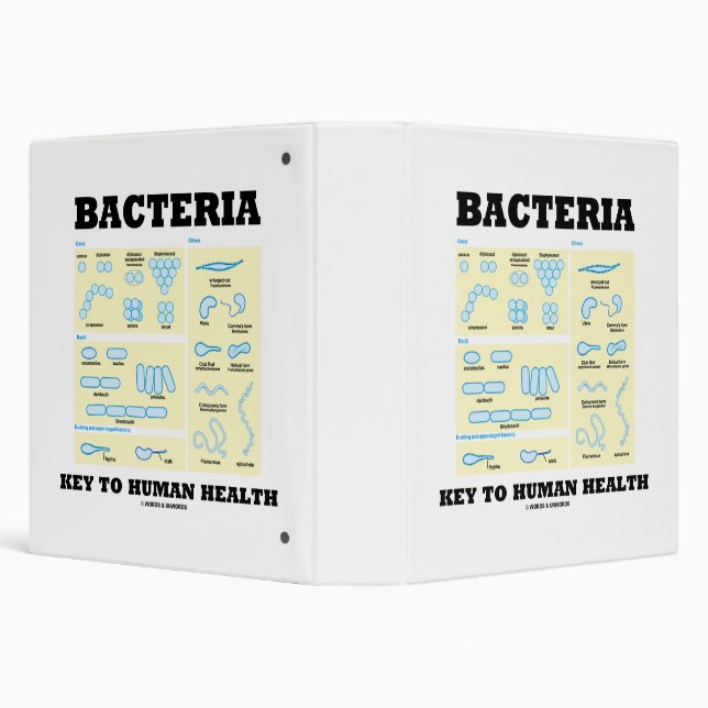 Bacteria Key To Human Health Morphology 3 Ring Binder (Background)