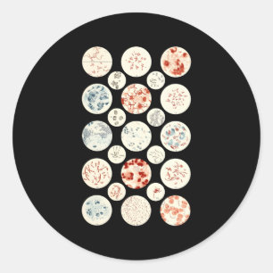 Bacteria Microbiology Bacteria Science Tiny Microb Classic Round Sticker