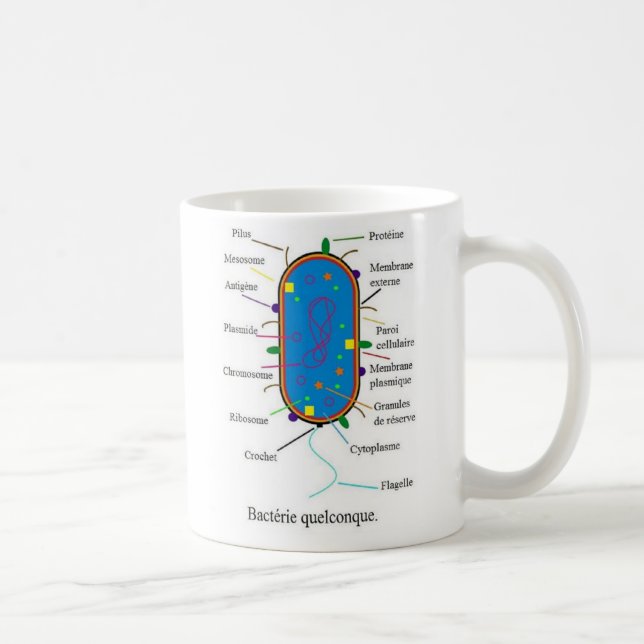 Bacteria Mug (Right)