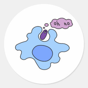 Bacteria Phagocytosis Classic Round Sticker