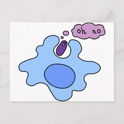 Bacteria Phagocytosis Postcard
