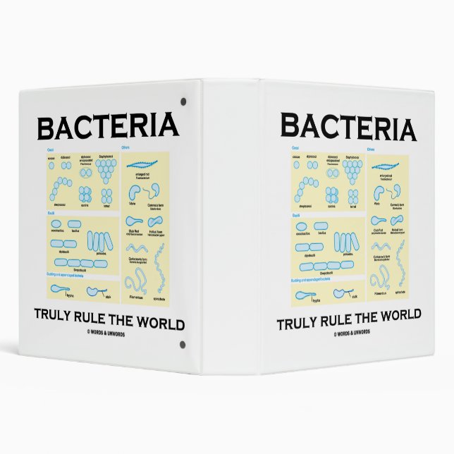Bacteria Truly Rule The World Morphology 3 Ring Binder (Background)
