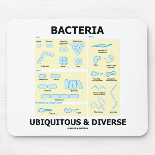 Bacteria Ubiquitous  Diverse Shapes  Sizes Mouse Pad